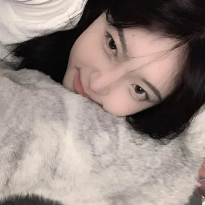 加菲猫和他的朋友们第七季