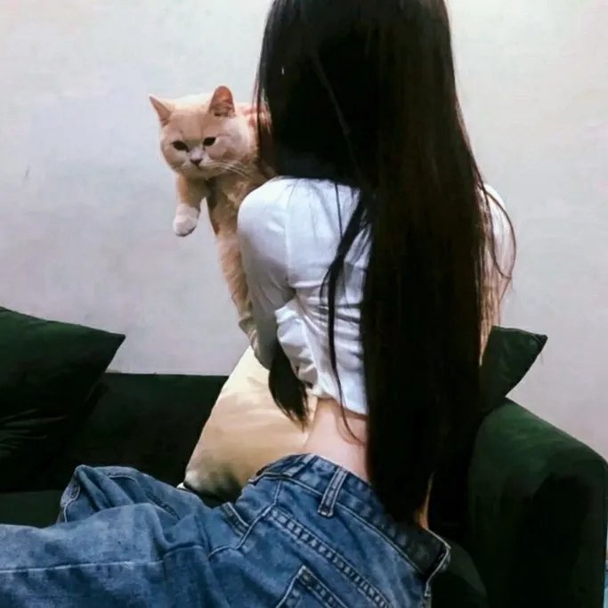 绯闻女主播